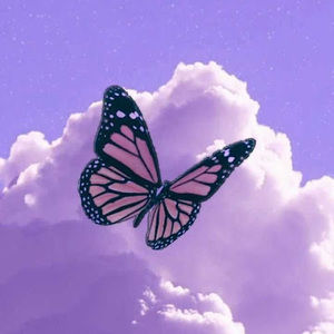 Meet your Posher, Gurnoor